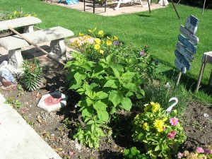 Creating a Memorial Garden