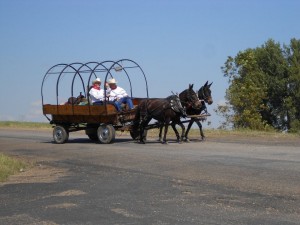 Funeral Wagon - Personalized Funeral Transportation