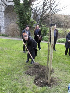 Memorial Tree Planting
