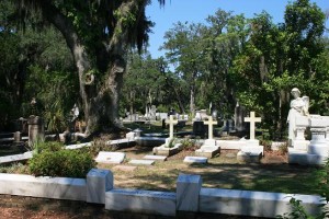 Family Plot With Several Cross Headstones